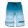 Wavebreaker Bade Shorts