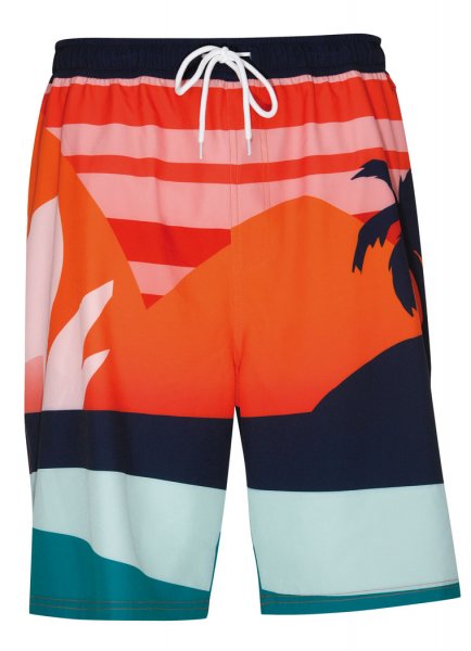Wavebreaker Bade Shorts multicolor