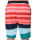Wavebreaker Bade Shorts multicolor