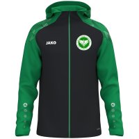 VV DJK Colditz Kapuzenjacke Unisex