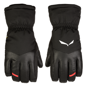 Salewa ORTLES GTX Handschuhe 