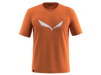 Salewa SOLIDLOGO DRI-RELSEASE T-Shirt