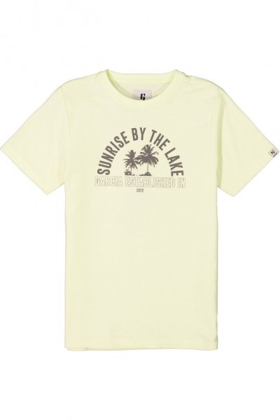 bleach sun