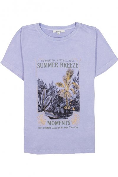 2892-lavender grey